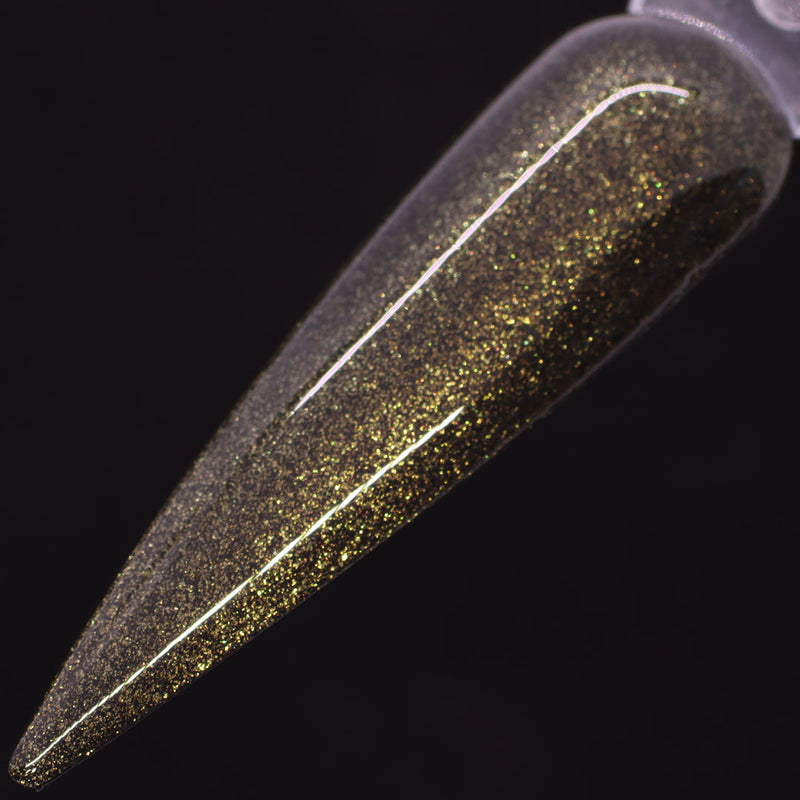 Dimension Nails - Terai-Duar Savanna - Himalayan Newt