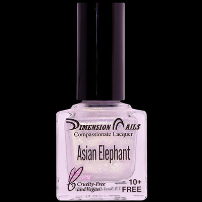 Asian Elephant