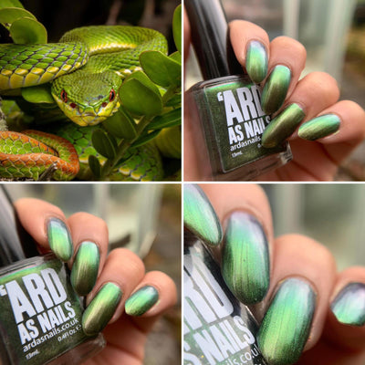 Bamboo Viper