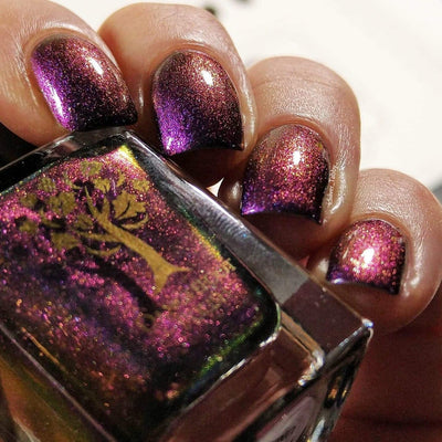 Across the Universe