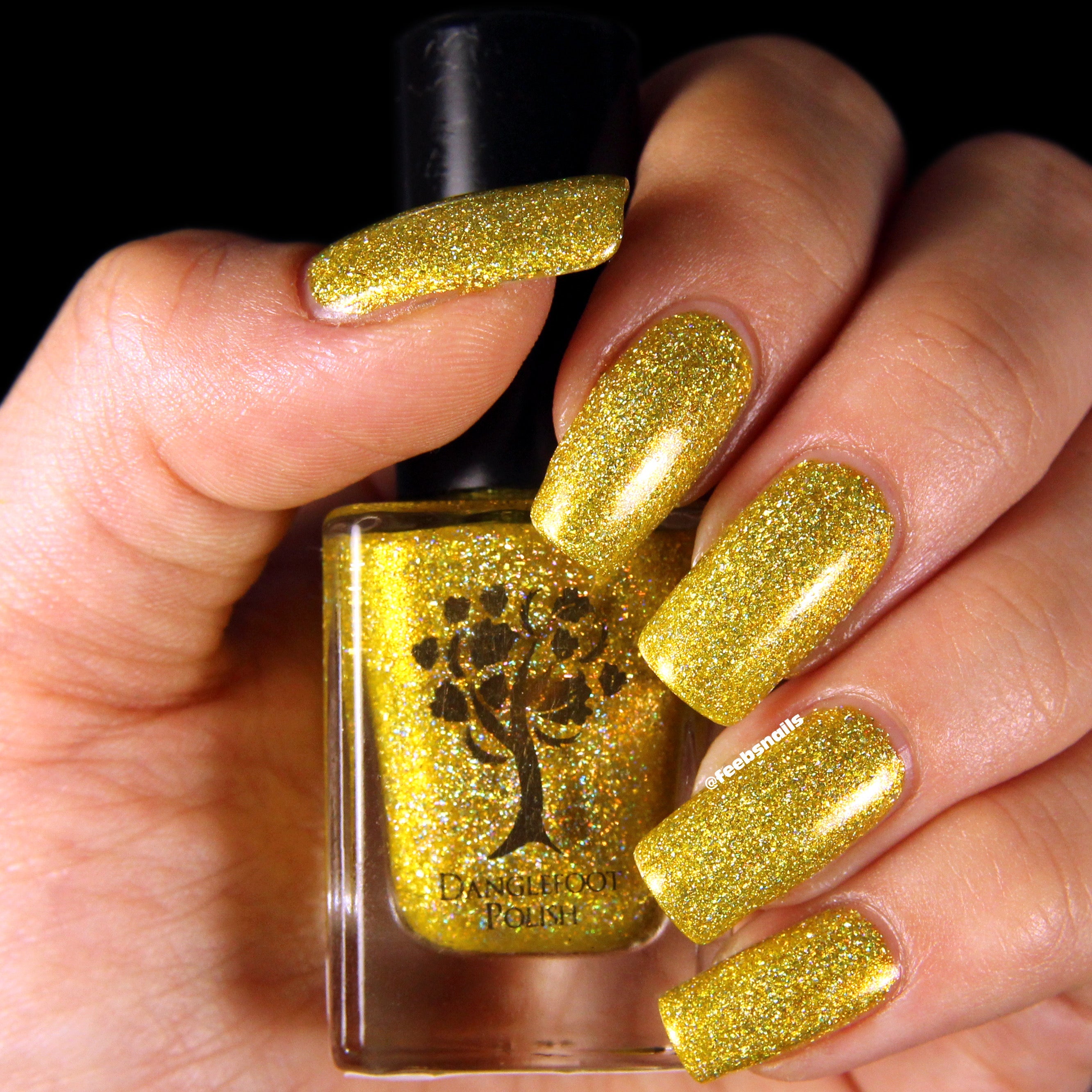 Danglefoot Polish - Comedy Collection - Gave me Cookie, Got you Cookie