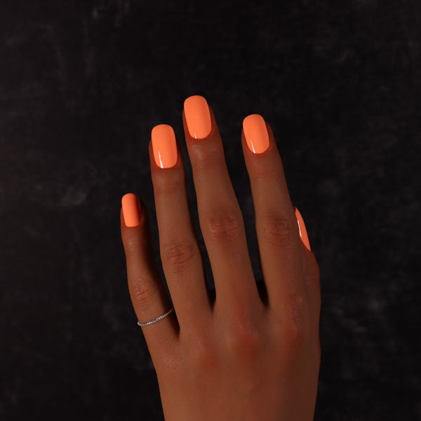 Dimension Nails - The Great Barrier Reef - Soldierfish