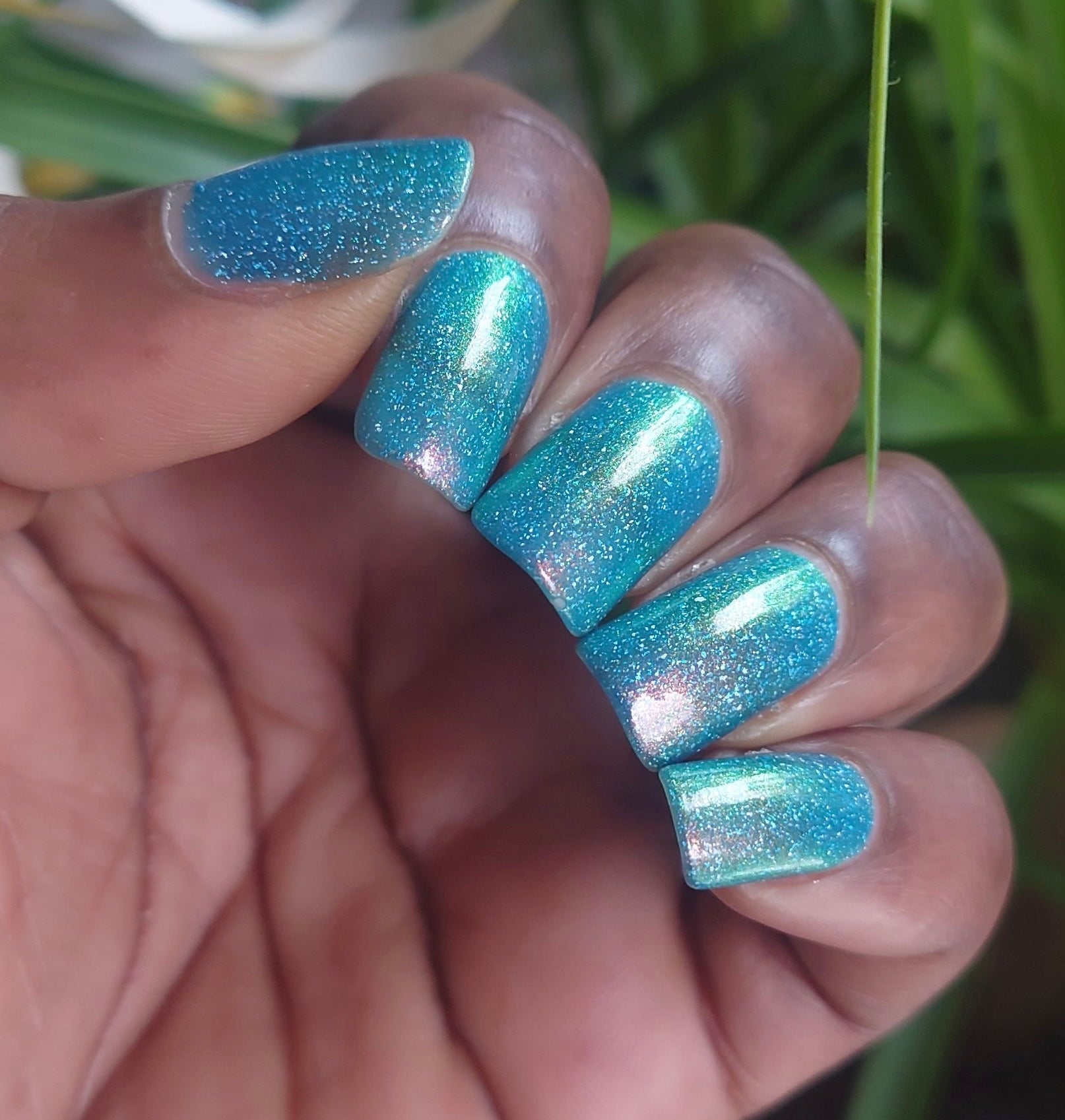 Reaching For The Stars