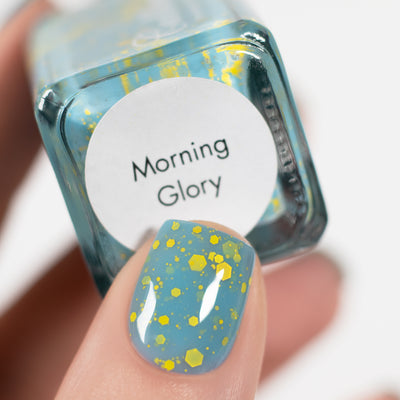 Morning Glory