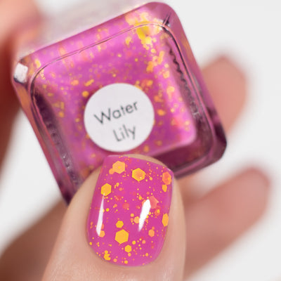 Water Lily