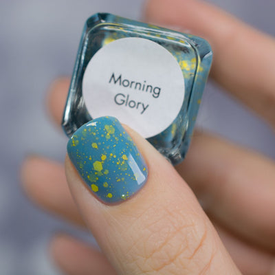 Morning Glory