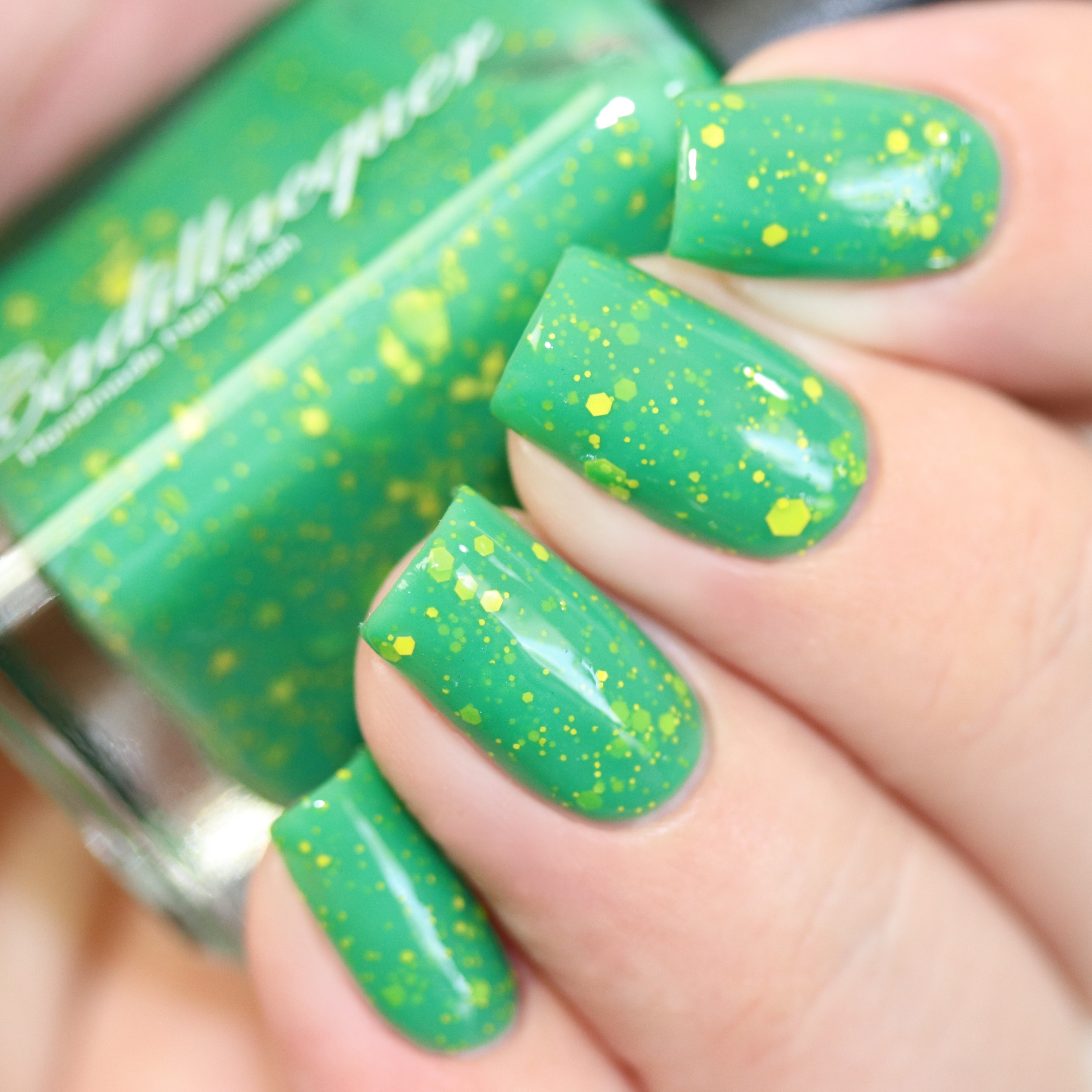 Cadillacquer - Summer Flowers - Daffodils