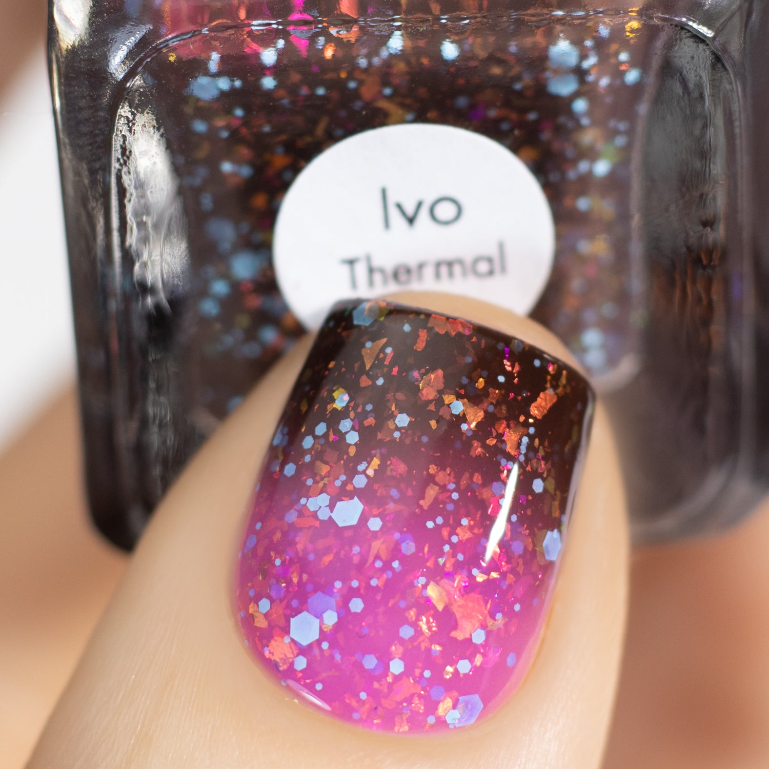 Ivo