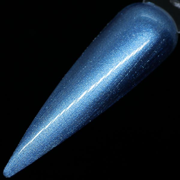Blue Shark