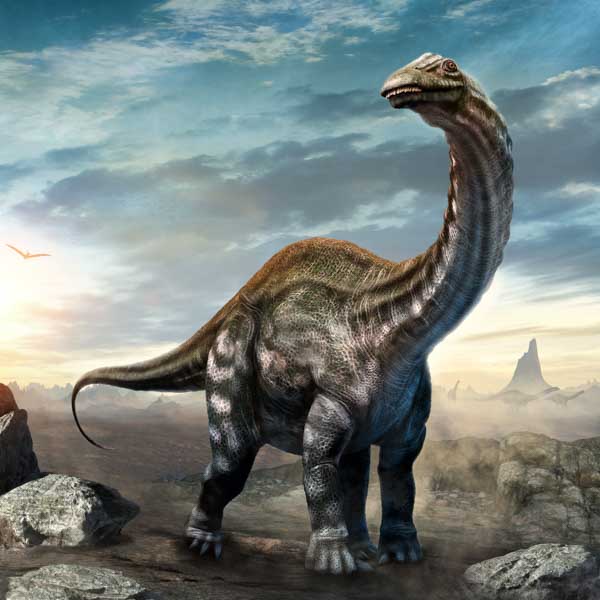 Dimension Nails - Prehistoric Collection - Apatosaurus