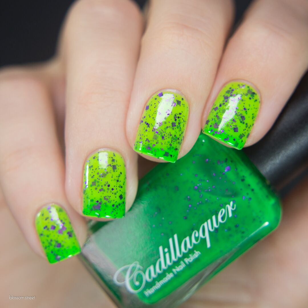 Wicked