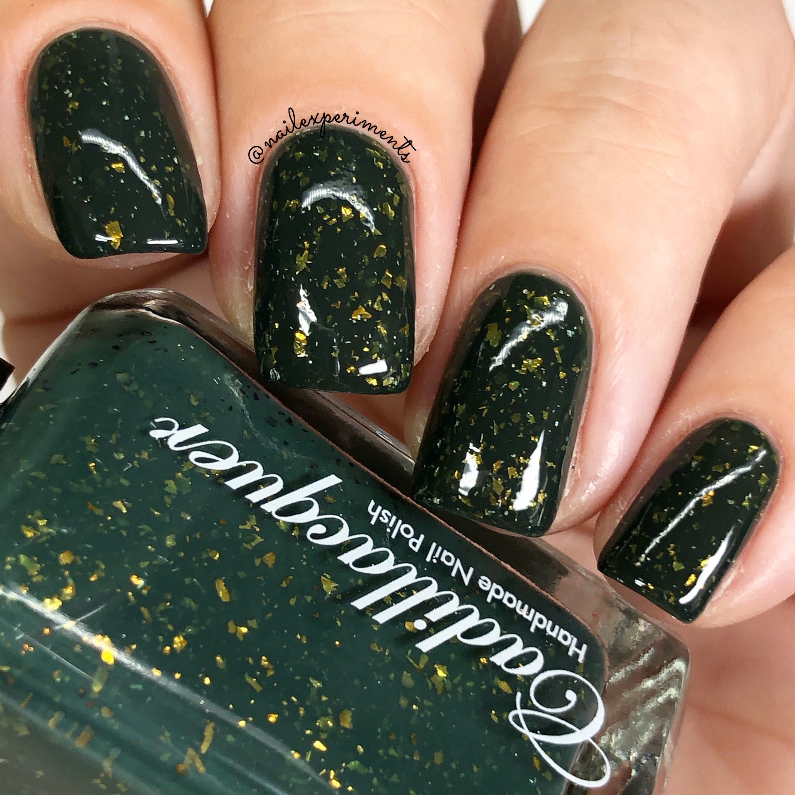 Enchanted Woodland