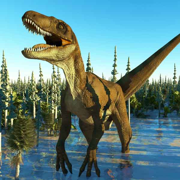 Dimension Nails - Prehistoric Collection - Velociraptor